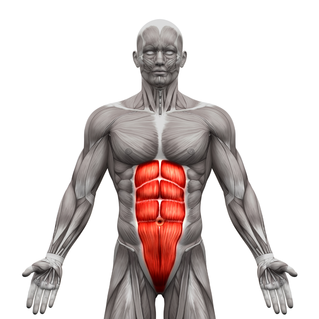 Reto Abdominal